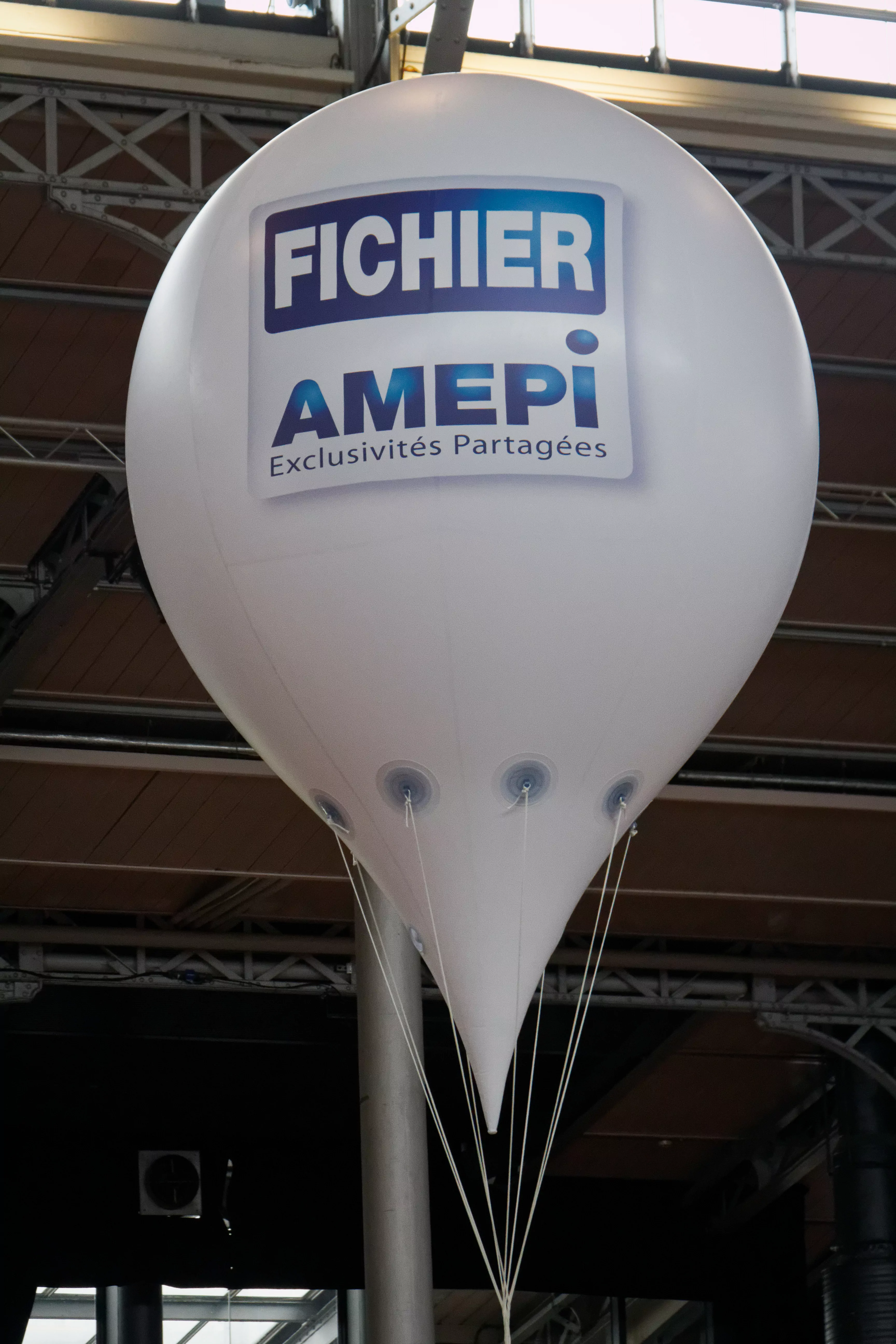 Fichier Amepi ballon en forme de montgolfiere