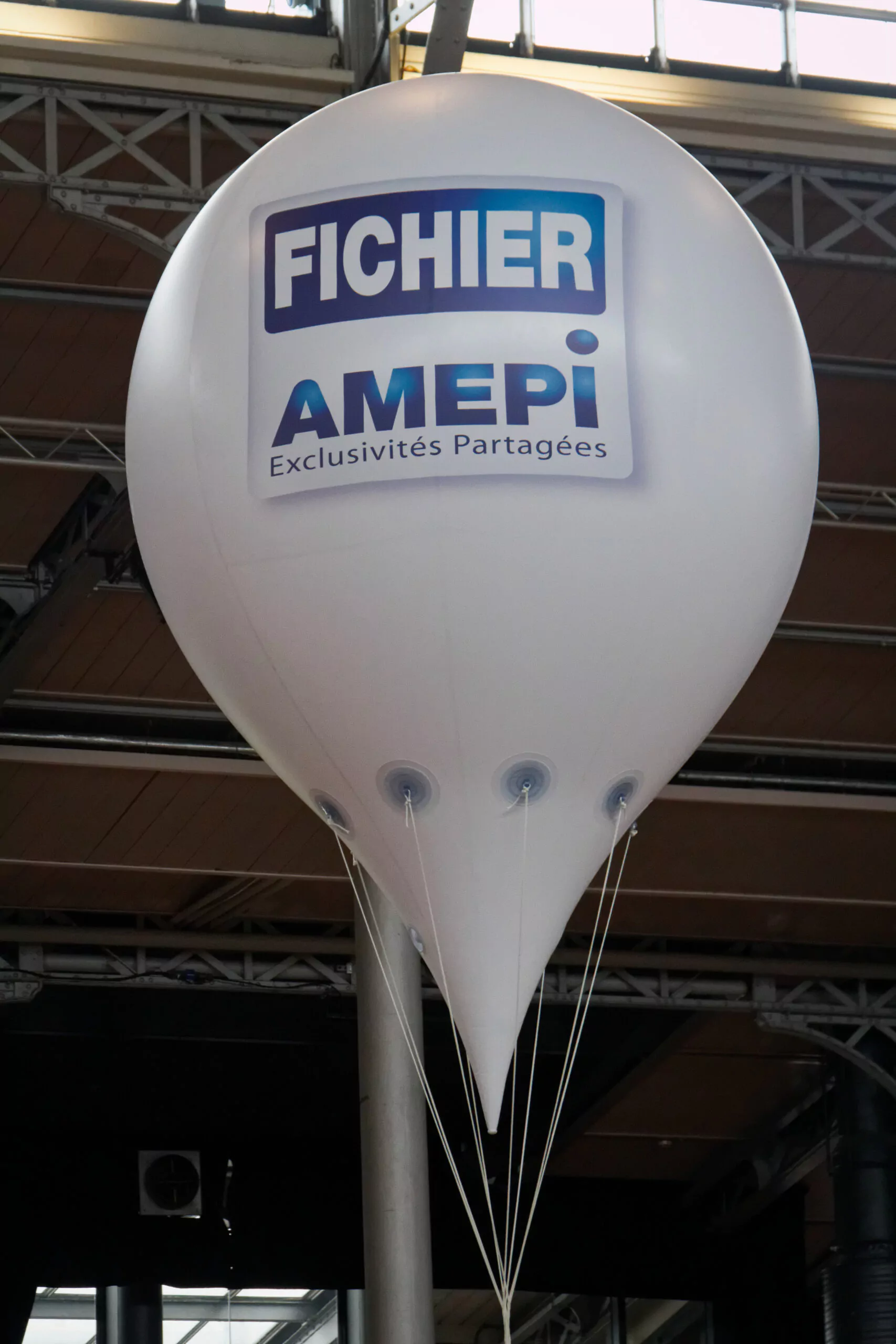 Fichier Amepi ballon en forme de montgolfiere